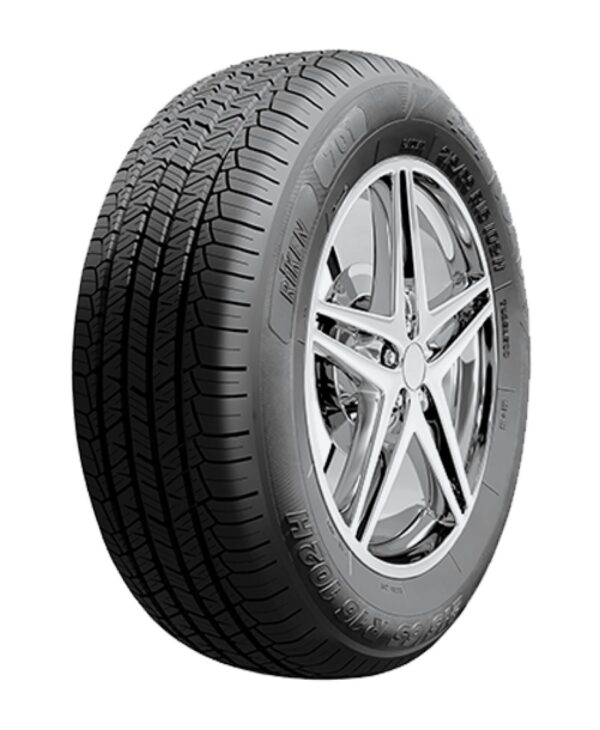 Riken 701 225/55 R19 99V DOT2022